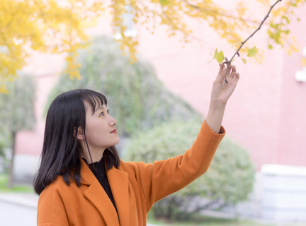 怎么申请菲律宾的护照免签(最新护照申请流程)